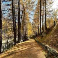Saas-Fee: A Car-Free Alpine Paradise of Glaciers, Peaks & Swiss Charm