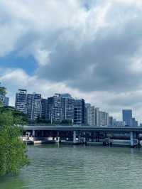 Coastal Breeze and City Dreams 