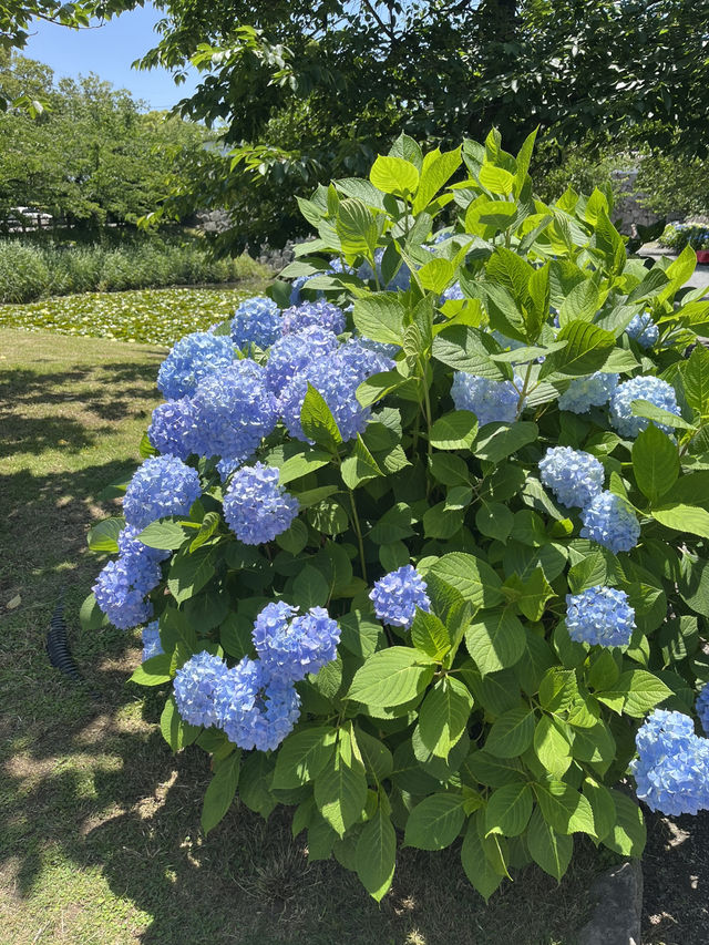 【福岡】大濠公園攻略ガイド🏞️