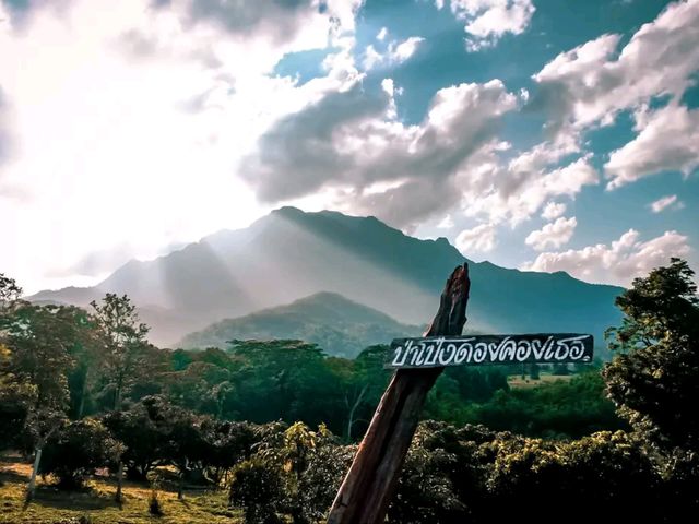 ฮีลใจที่เชียงดาววว 🏕️🏔️✨