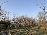 Hwaseong Fortress in Suwon