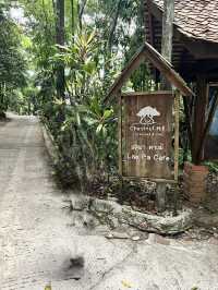 🌿 รีวิว Chestnut Hill Eco Resort