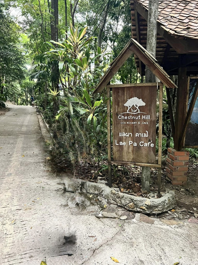 🌿 รีวิว Chestnut Hill Eco Resort