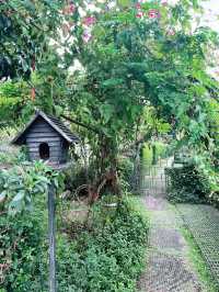 A Hidden Green Haven in the City: Kebun-Kebun Bangsar 