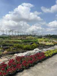 สวนนงนุช