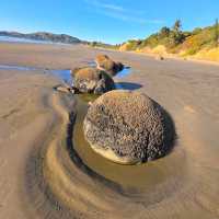 Moeraki Boulders