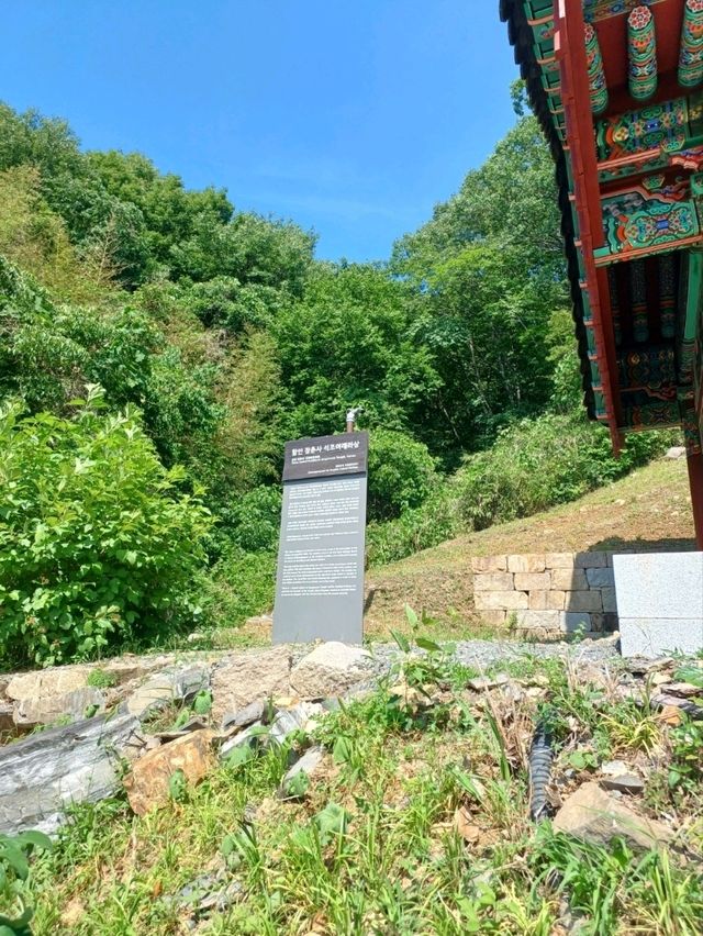 숲속 고요를 만나는 힐링 산책