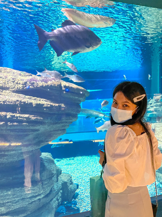 Aquaria Phuket 💙  ประสบการณ์ดีดี 