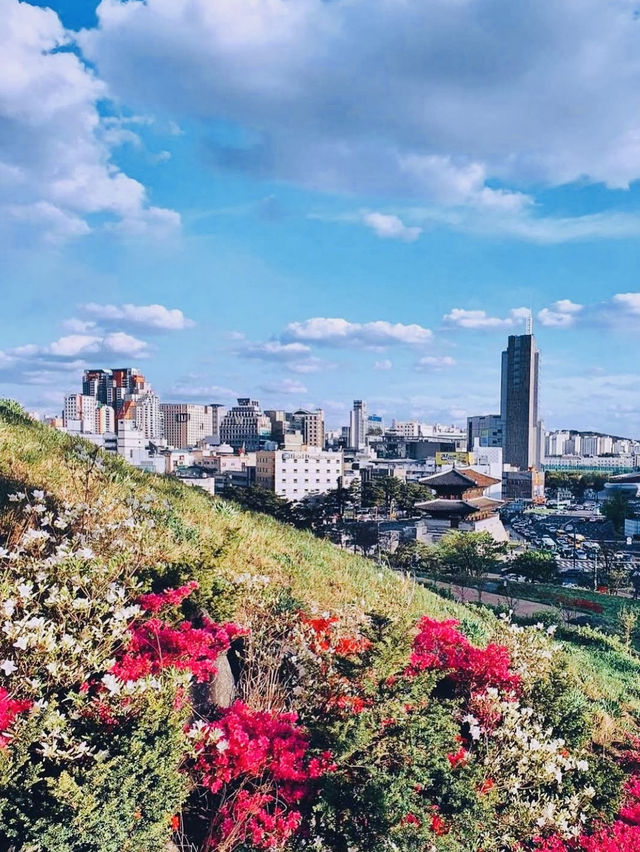 Beautiful park with panoramic views of Seoul