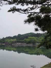 마음이 맑아지는 시간🌿