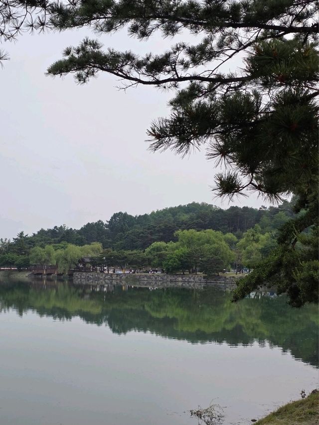 마음이 맑아지는 시간🌿