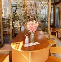 Pati coffee & plants