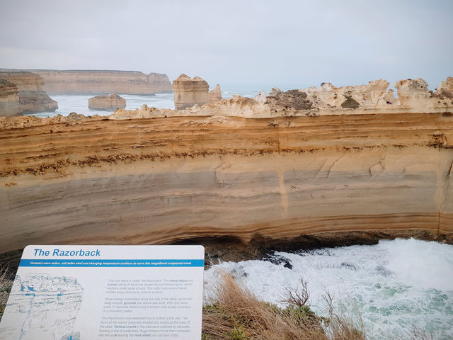 Great Ocean Road 1 day - a must-go in Melbourne