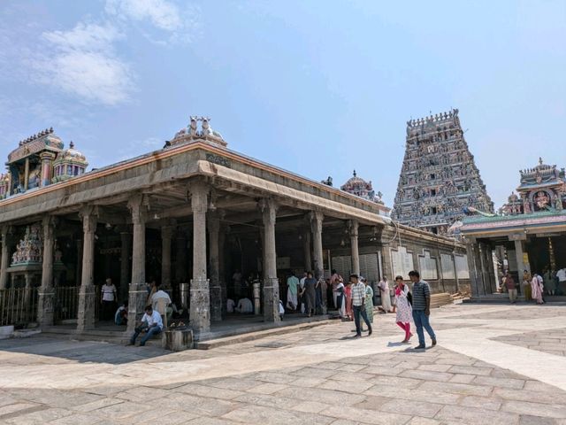 南インド・ドラヴィダ文化に浸る旅