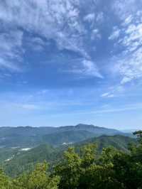 Misungsan Forest Feels
