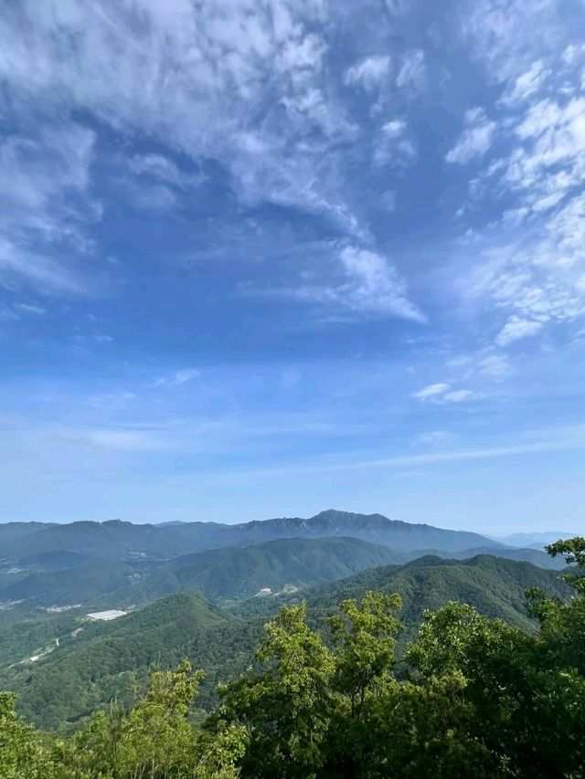 Misungsan Forest Feels