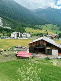 Summer on the Scenic Glacier Express: From Zermatt to St. Moritz