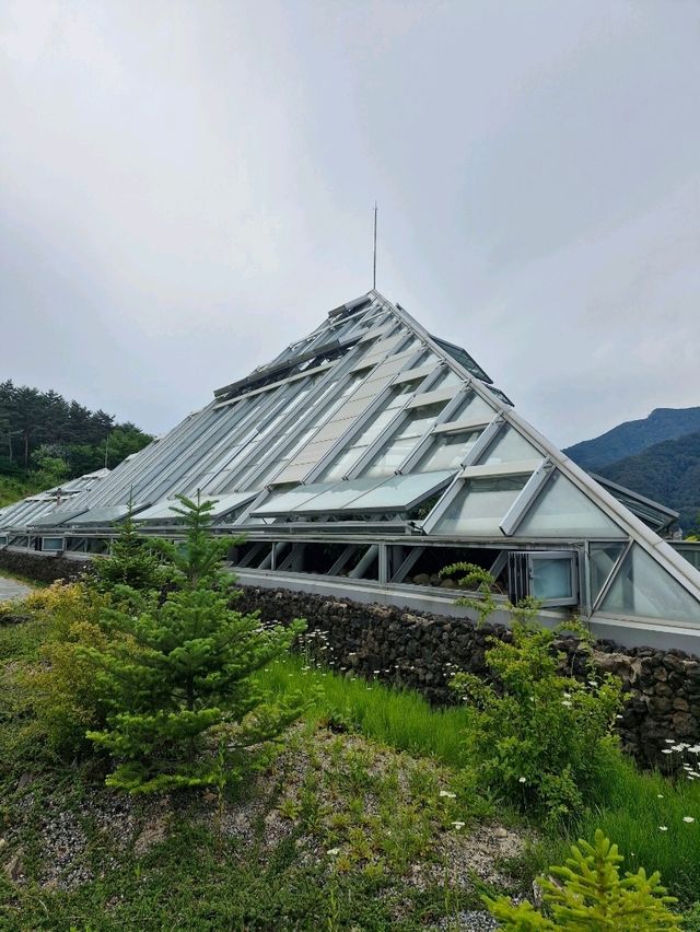 예쁨 식물이 가득한 알파인하우스전시온실🌲