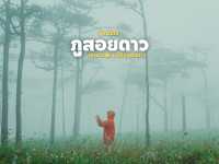 ภูสอยดาว ในวันที่... ความทรงจำที่ไม่มีวันลืมเลือน