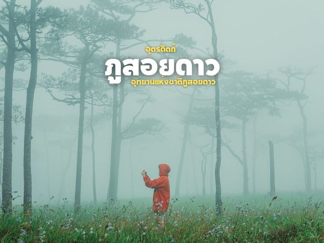 ภูสอยดาว ในวันที่... ความทรงจำที่ไม่มีวันลืมเลือน