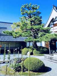 The Daikaku-ji Temple