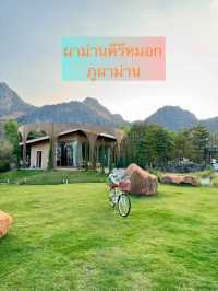 ⛰️ผาม่านคีรีหมอก🍀