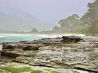 Where Earth carves its own art — Tessellated Pavement, Tasmania