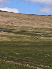 Crazy Cycling in Mongolia 