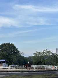 Giddy Up, Cyberjaya! Exploring 3S Equestrian for a Weekend Reset