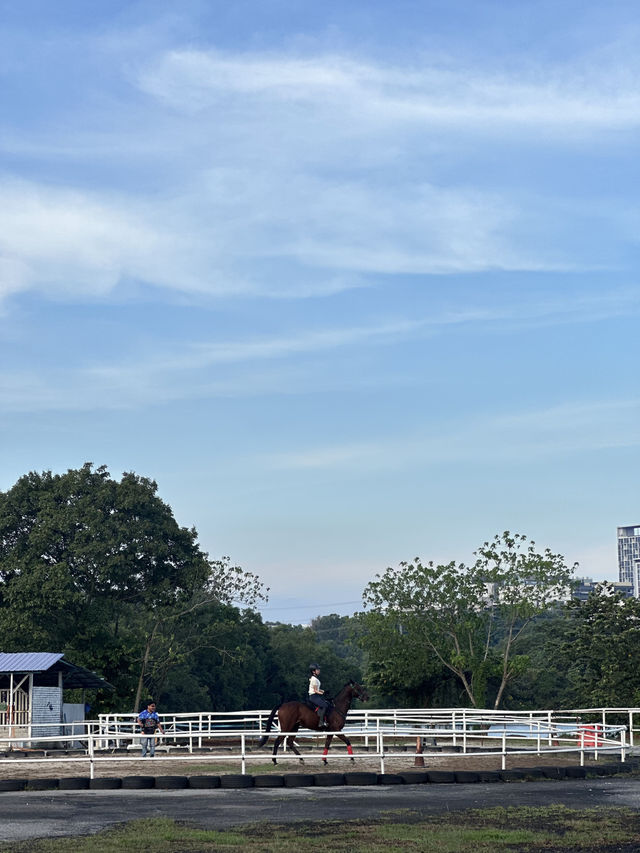 Giddy Up, Cyberjaya! Exploring 3S Equestrian for a Weekend Reset