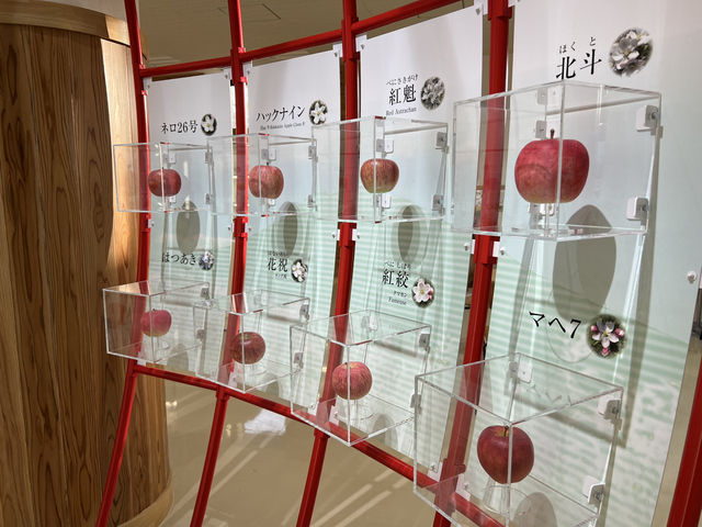🍎 Apple Wonderland in Hirosaki – A Family Delight!