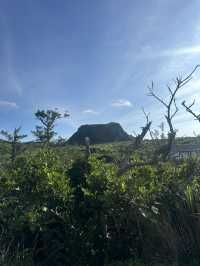 綠島日出之必往之路