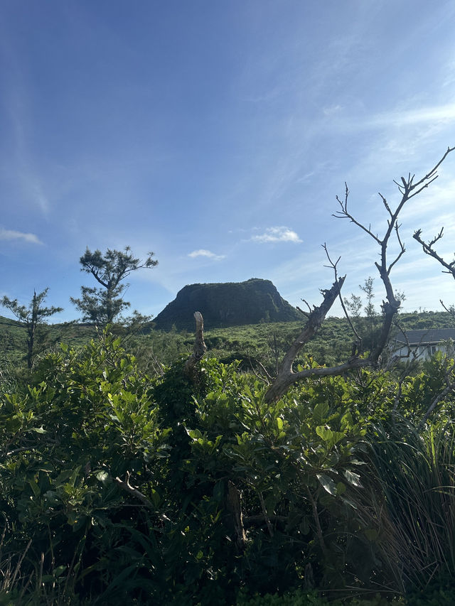 綠島日出之必往之路