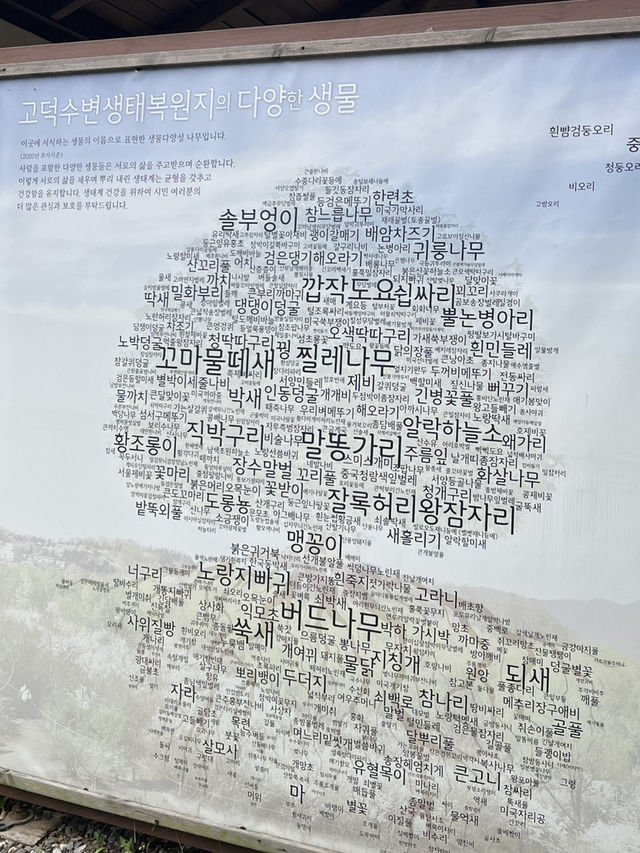 하천과 강이 만나는 곳