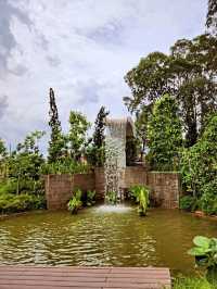 🏯🌸 Chinese Garden Singapore – A Peaceful Escape You’ll Love! 🌳✨