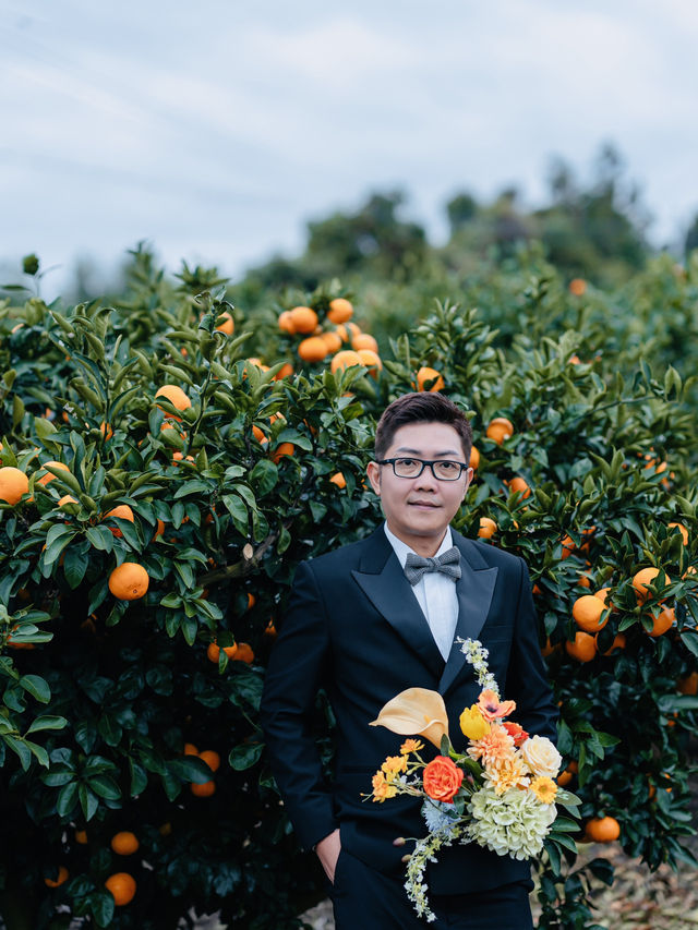🍊 Jeju Orange Field – A Dreamy Summer Wedding Destination Straight Out of a K-Drama 🍊