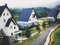 🌲 Dalat Wonder Resort 🌲