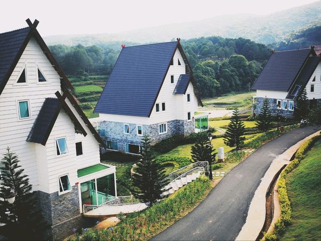 🌲 Dalat Wonder Resort 🌲