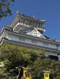 【絶景と歴史の融合】岐阜城から望む金華山のパノラマビュー