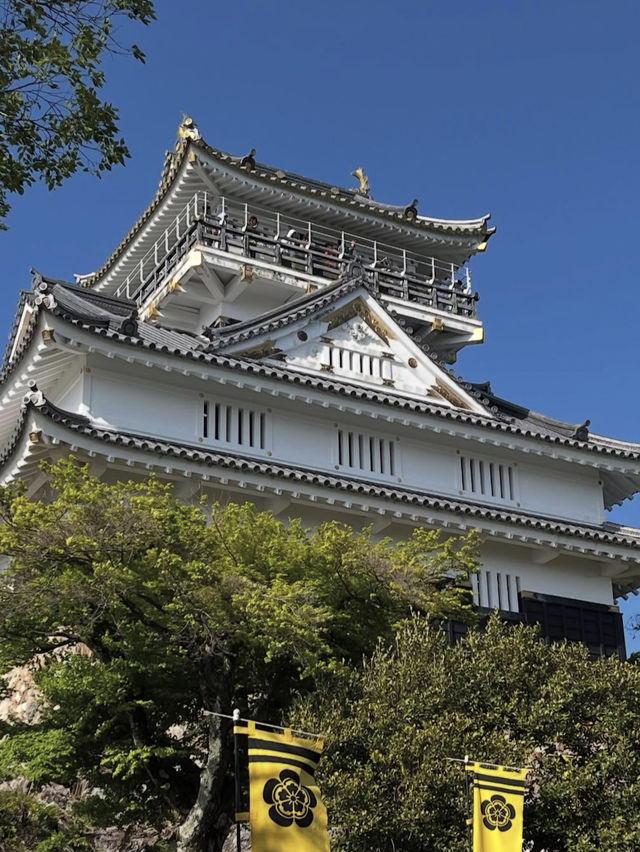 【絶景と歴史の融合】岐阜城から望む金華山のパノラマビュー