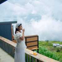 ฤดูกาล คาเฟ่ ภูทับเบิก"