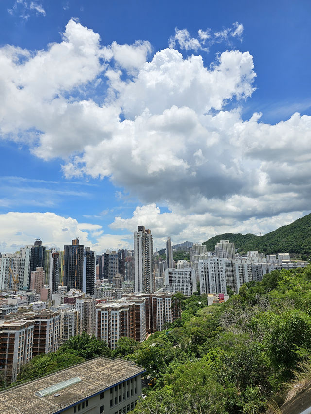 🏔️ GARDEN HILL SHAM SHUI PO: Hidden Gem with Million-Dollar Views! 🌆✨