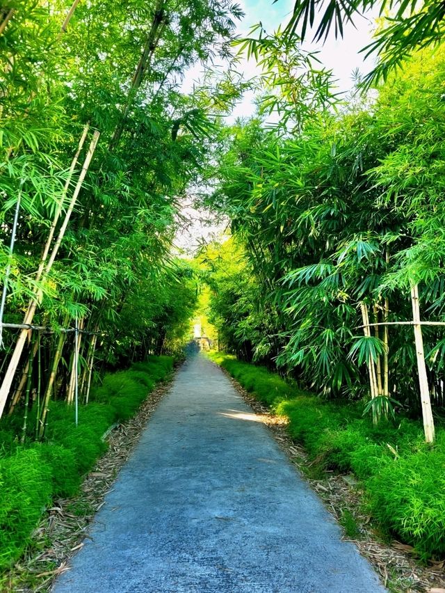 The secret waterfall inside Bamboo grove