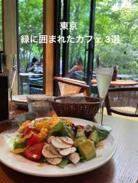 東京の緑に囲まれた　カフェ＆レストラン三選