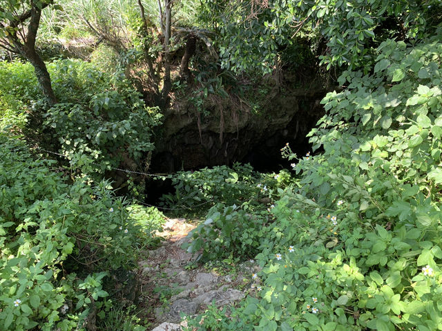 🕯️ A Somber Journey into the Past – Ihara First Surgery Trench