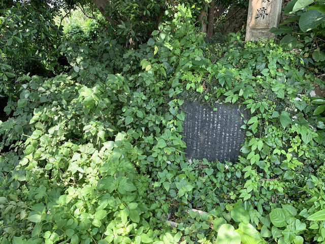 🕯️ A Somber Journey into the Past – Ihara First Surgery Trench