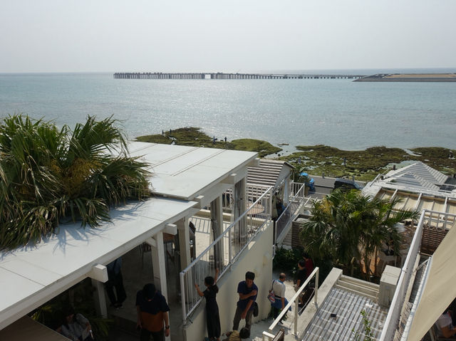 🌊 Late Lunch Bliss at Umikaji Terrace Senagajima 