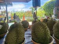 Baannok Market, a chic riverside market 1 hour drive from Bangkok
