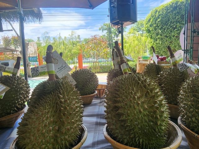 Baannok Market, a chic riverside market 1 hour drive from Bangkok