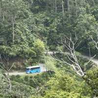 unique experience in a tea plantation & less crowd too!